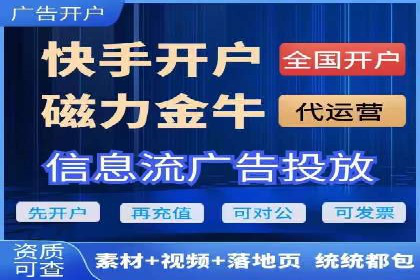 SEM推广策略：成功案例解析与效果评估